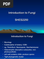 Introduction To Fungi