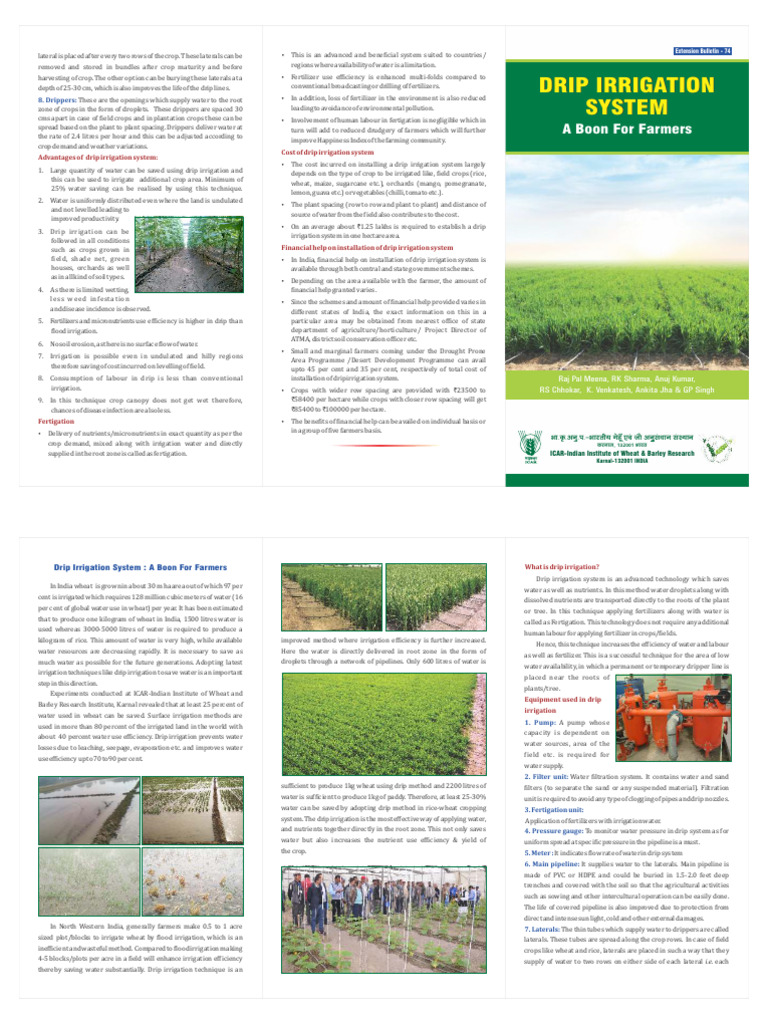 Drip Irrigation: Efficient Water Use | PDF | Irrigation | Agriculture