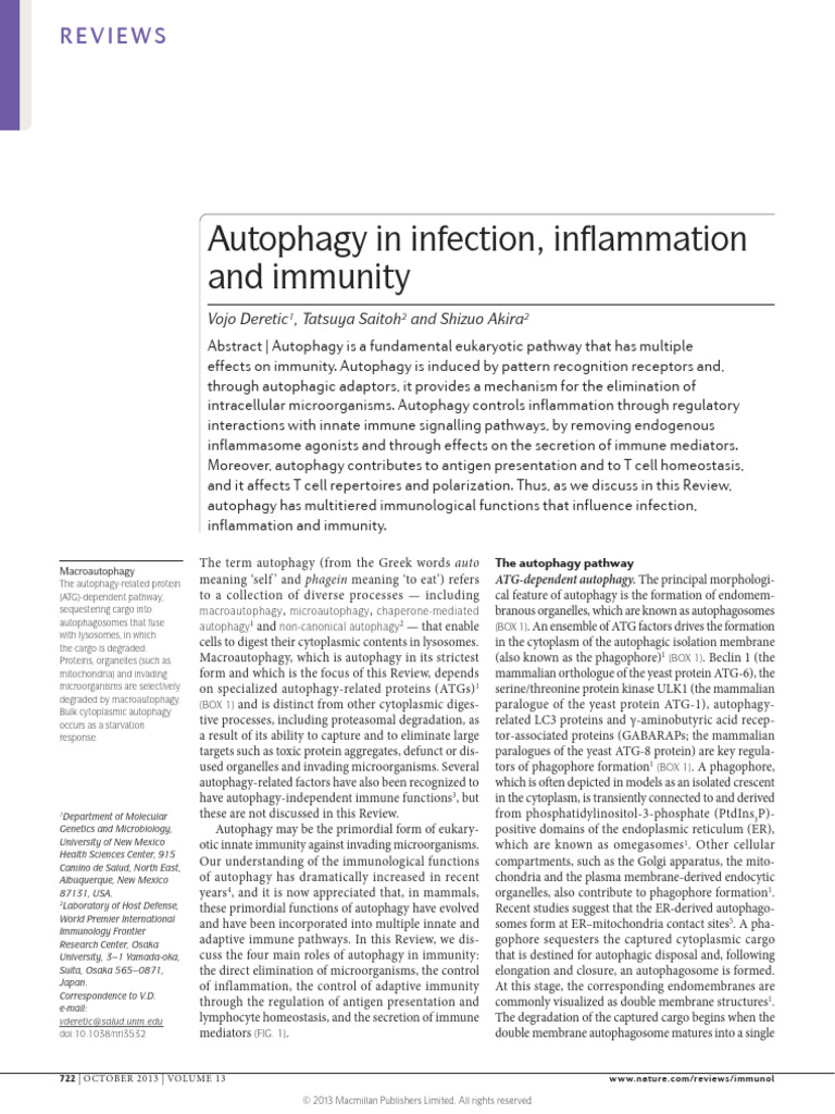 Autophagy in infection, inflammation and immunity | PDF | Autophagy | T ...