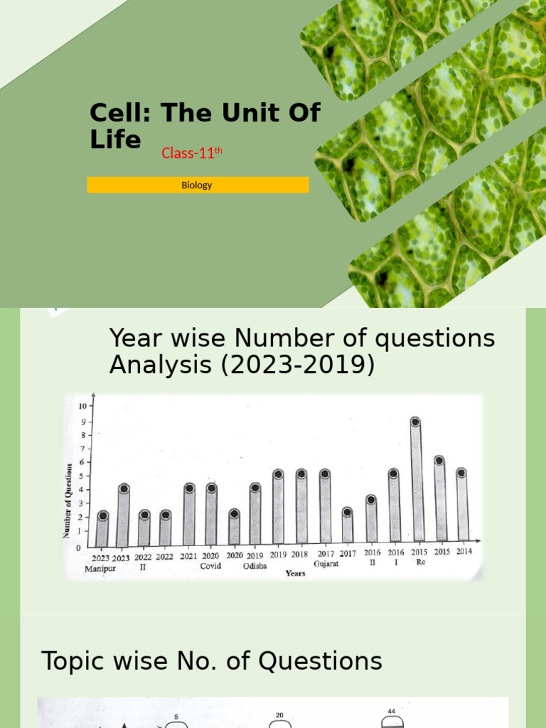 Cell Structure and Function for Class 11 | PDF | Cell Membrane | Cell ...