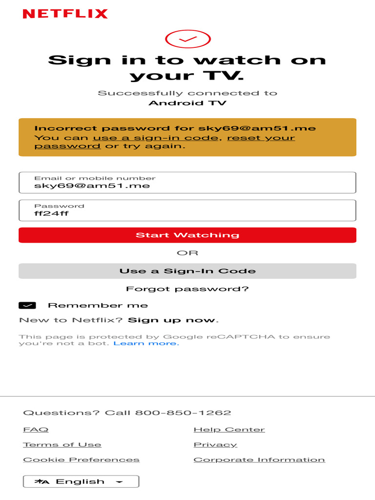 Netflix | PDF