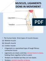 Locomotion and Support