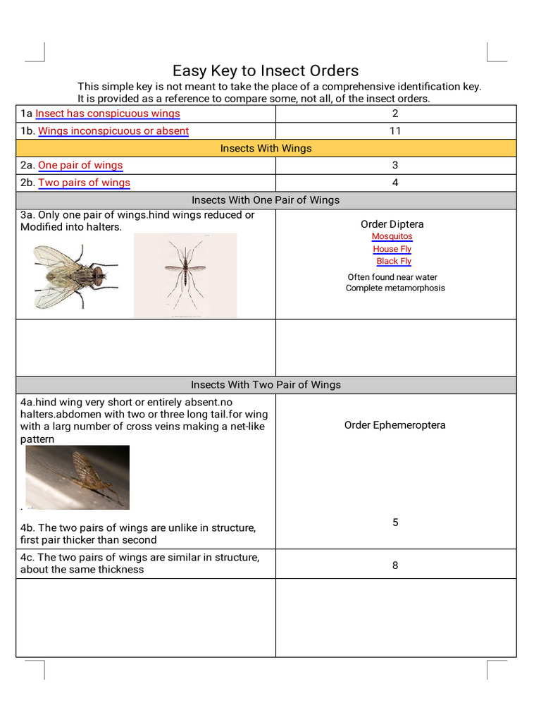 Easy Key to Insect Orders نهائى للمعمل | PDF | Insects | Fly