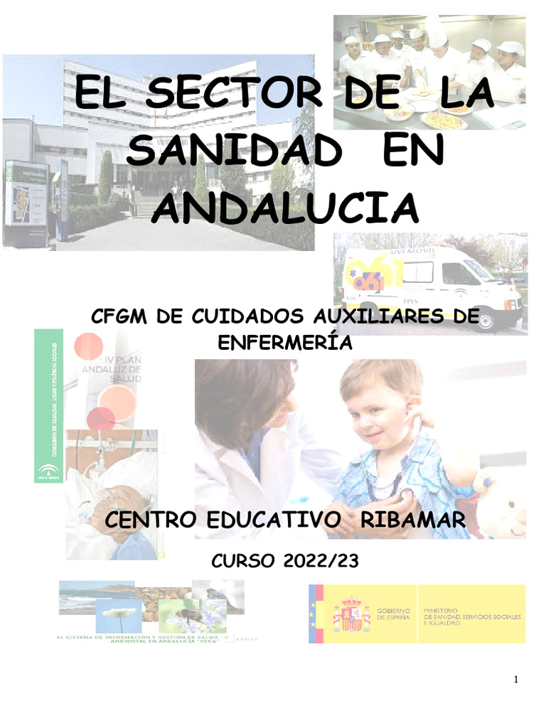 Sanidad en Andalucía: Estructura y Leyes | PDF | Hospital | Cuidado de ...