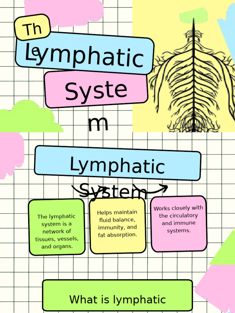 Lymphatic System 103914 Pdf Lymphatic System Physiology