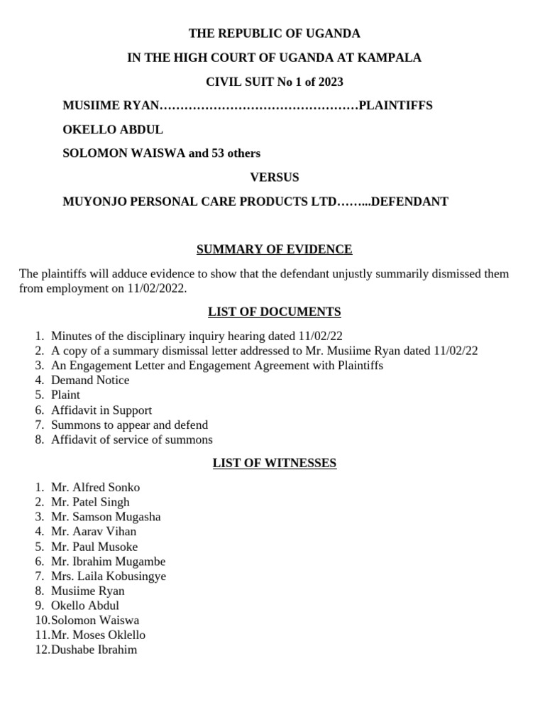 Summary of Evidence | PDF