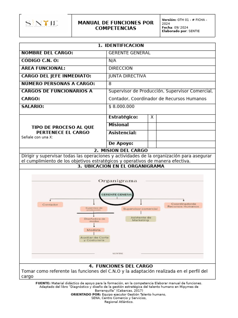 Manual de Funciones Gerente General | PDF | Gestión estratégica | Business