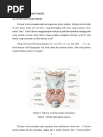 Download Struma Nodosa Non Toksik by Dewi Sandra Marlina Simatupang SN83882388 doc pdf