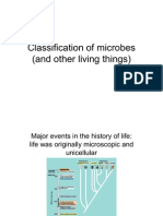 Classification of Microbes (and Other Living Things