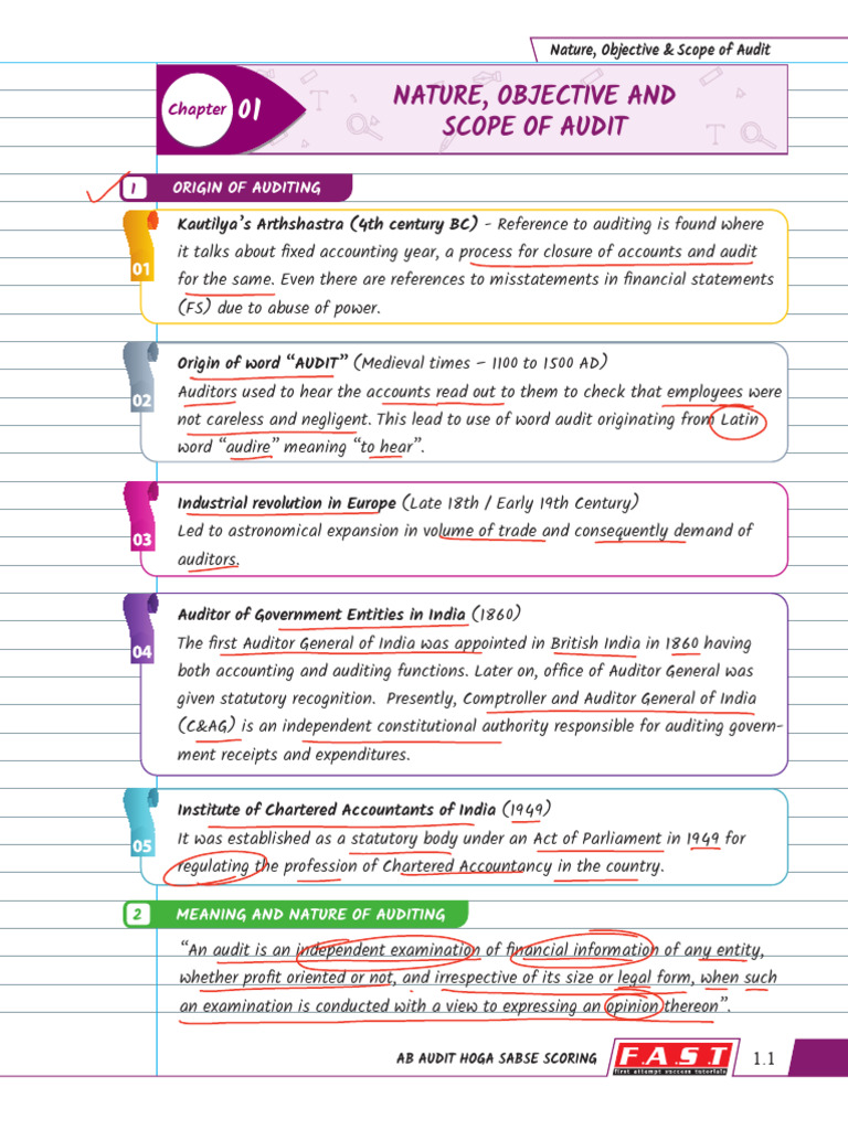 Nature and Scope of Auditing Explained | PDF | Audit | Statistics