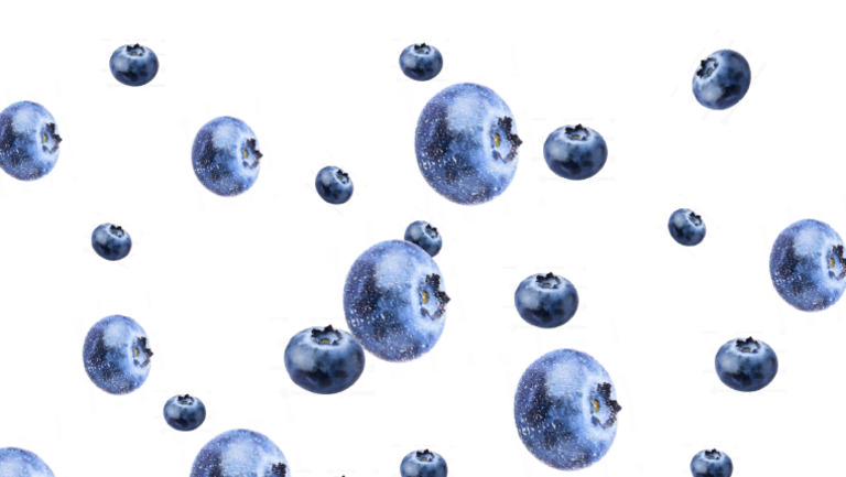 Blueberries | PDF