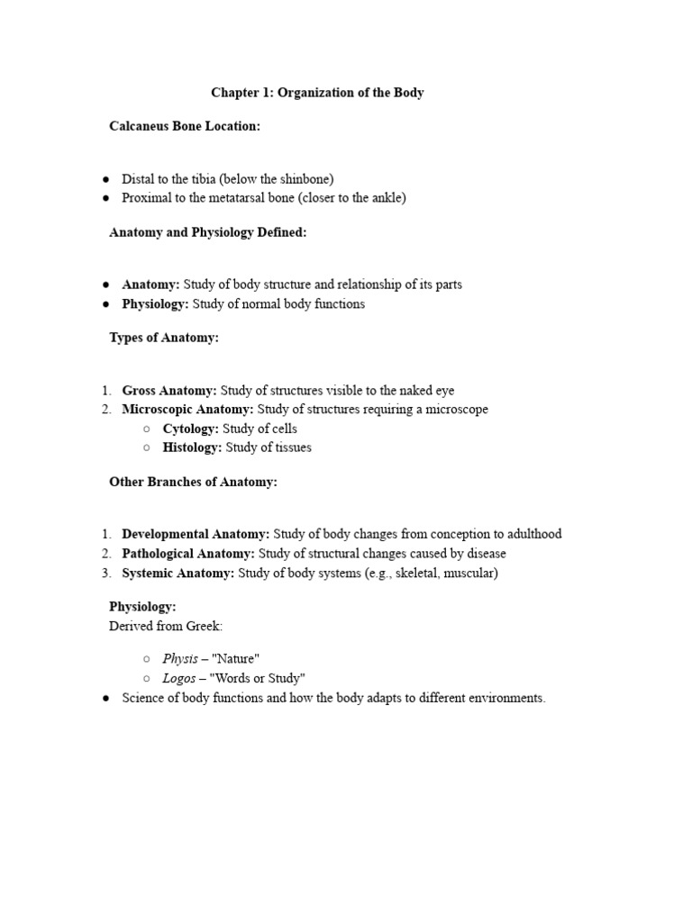 Chapter 1 Organization of the Body (2) | PDF | Anatomical Terms Of ...