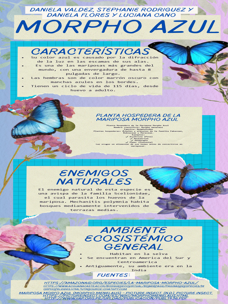 Planta Hospedera de la Mariposa Morpho Azul | PDF | Lepidópteros