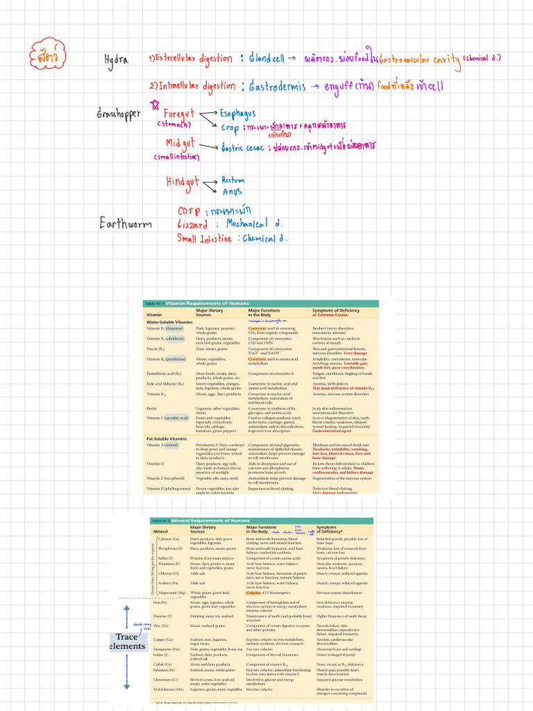 Digest | PDF