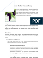 Download Budidaya terong by Allessandro Rumahorbo SN83889427 doc pdf