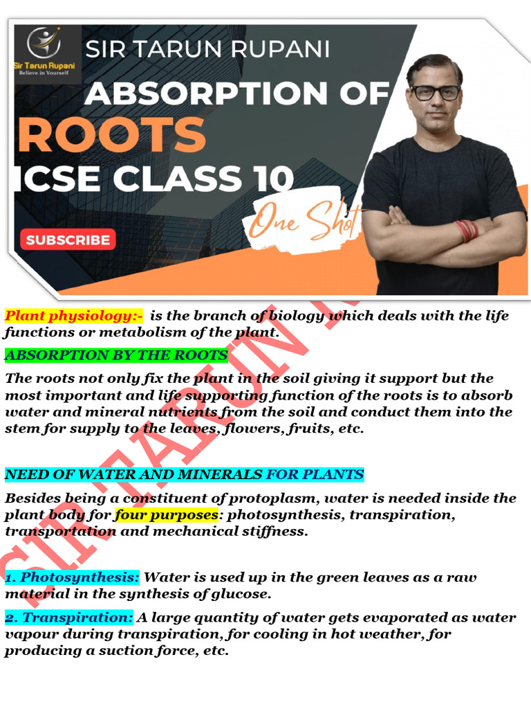 Absorption of Roots - 0a4caf06 Ee1f 4438 91b6 0a80a9faa602 | PDF ...