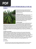 Download buah naga pupuk by Miftah Fadillah SN83891901 doc pdf