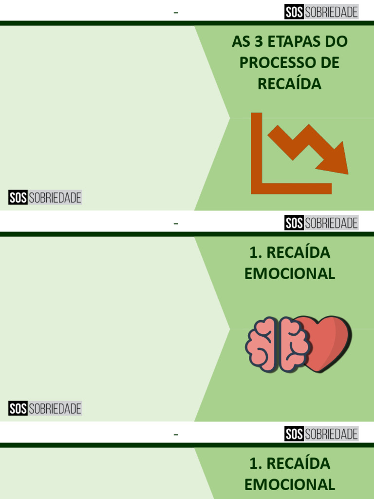 Capítulo 03-Aula 09-As 3 Etapas Do Processo de Recaída | PDF
