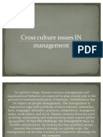 Cross Culture Issues