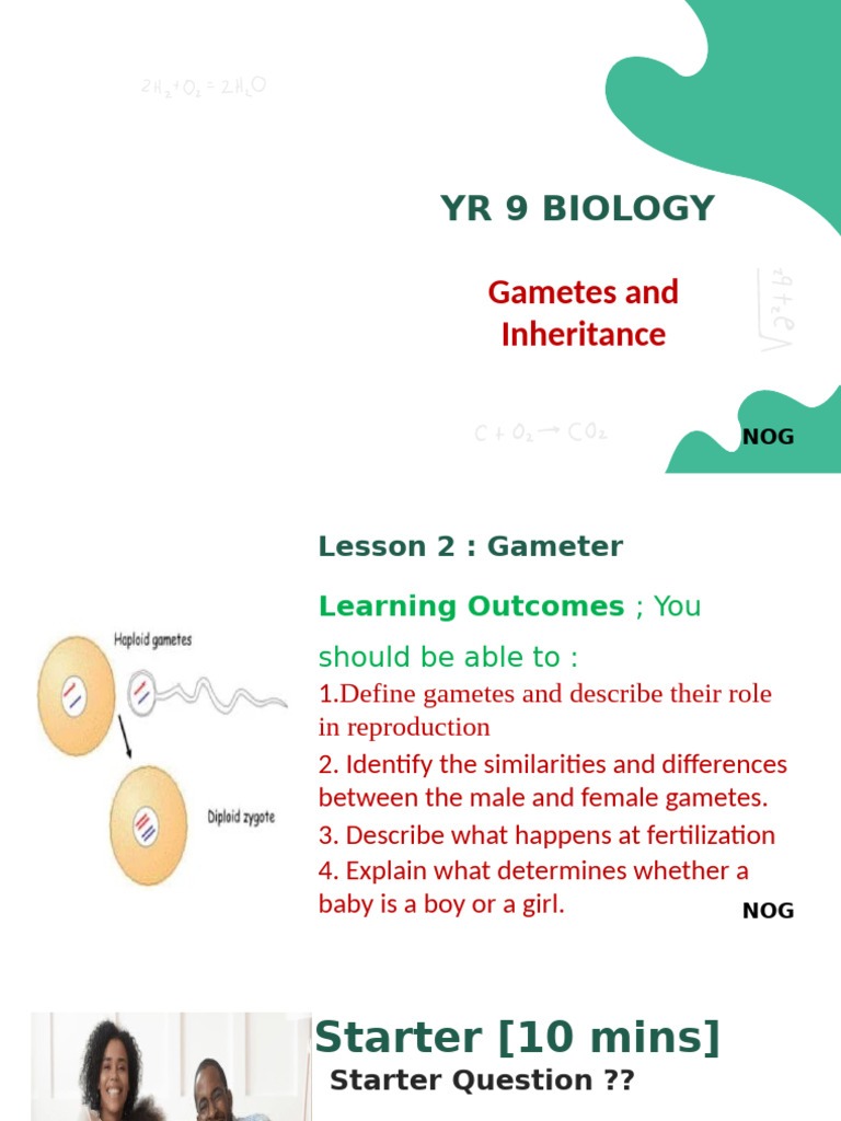 Year 9 Genes and Inheritance Slide 2 | PDF | Sexual Reproduction | Sex