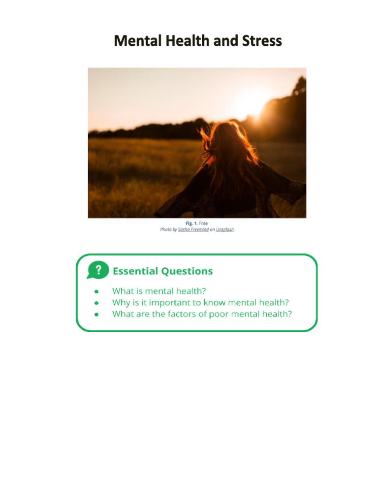 Understanding Mental Health and Stress | PDF | Stress (Biology) | Self ...