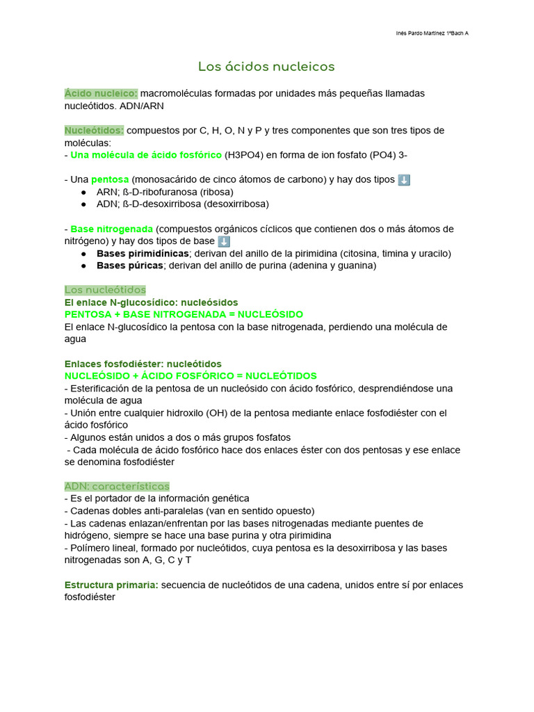 Estructura y Función de Ácidos Nucleicos | PDF | Rna | Nucleótidos