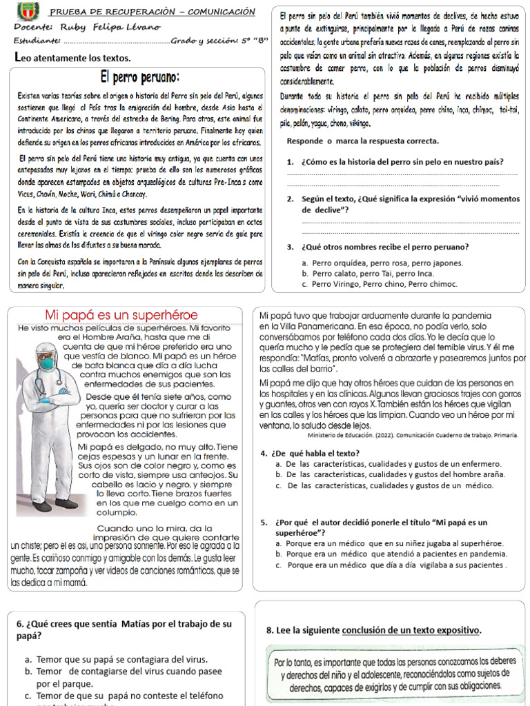 Prueba de Comunicación para 5º Grado | PDF