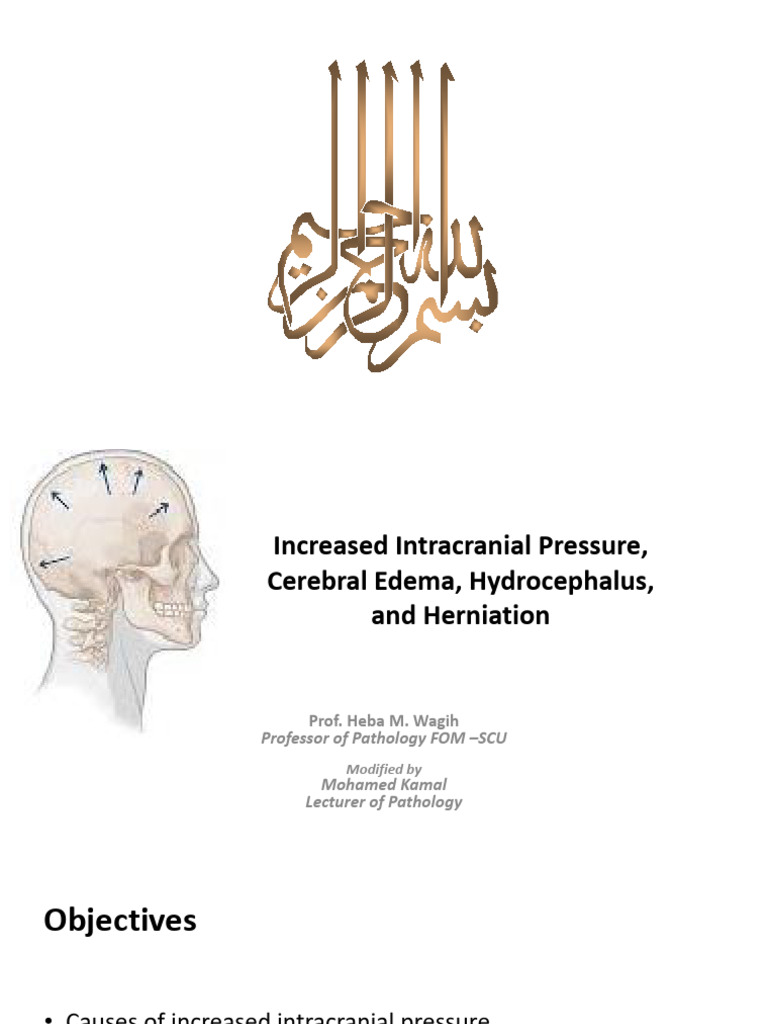 Cerebral Edema and Hydrocephalus Overview | PDF | Cerebrospinal Fluid ...