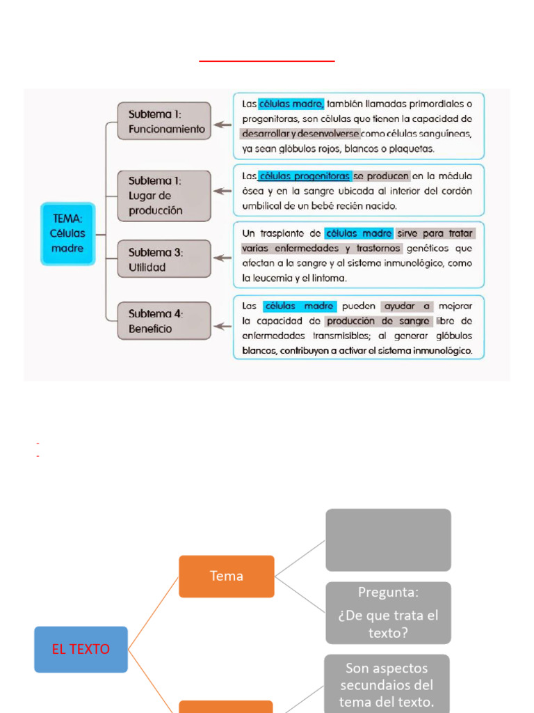 Tema y Subtema | PDF