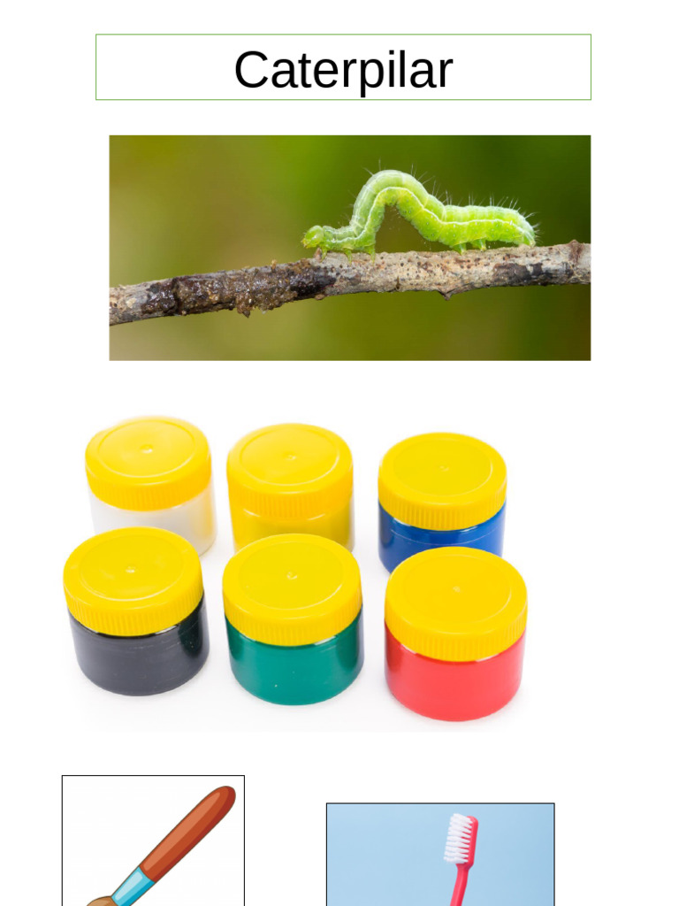 Caterpillar | PDF