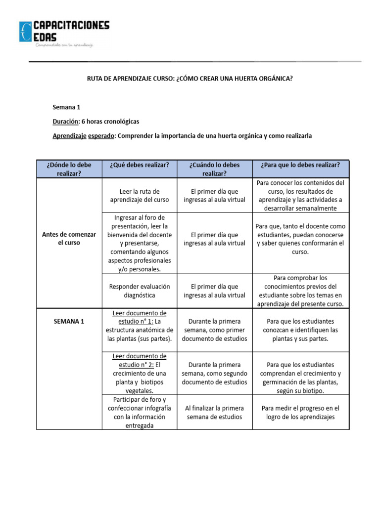 Ruta de Aprendizaje Curso | PDF | Aprendizaje | Cognición