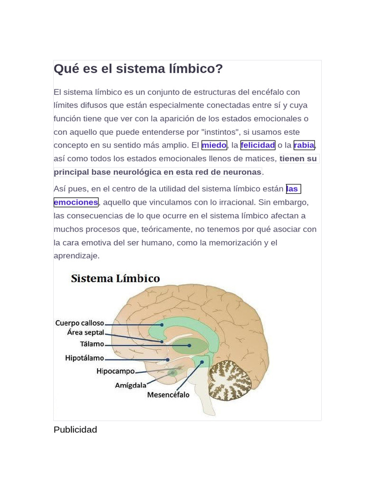 Funciones del sistema límbico en emociones | PDF | Sistema límbico ...