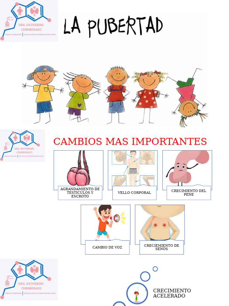 Pubertad en Niños | PDF