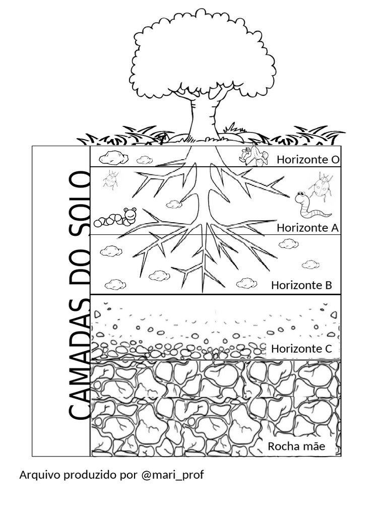 Camadas do Solo para Colorir | PDF