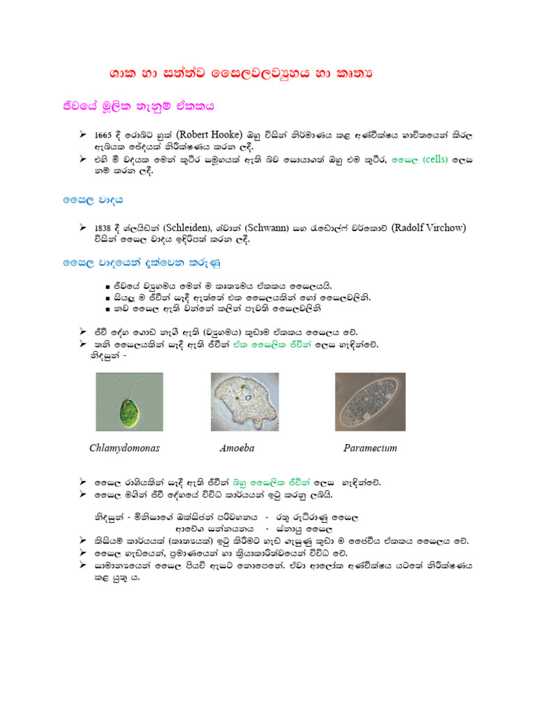 Overview of Cell Theory Development | PDF