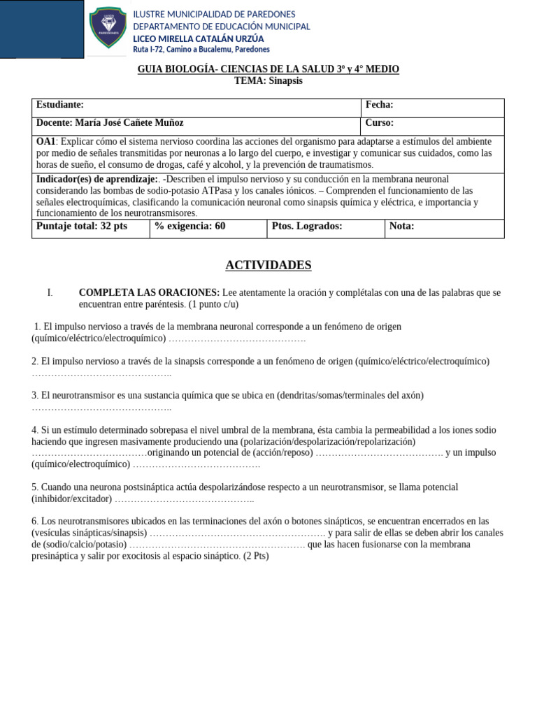 GUIA ACTIVIDAD IMPULSO-NEURONA N DIf 3y4 2024 | PDF | Sinapsis | Neurona