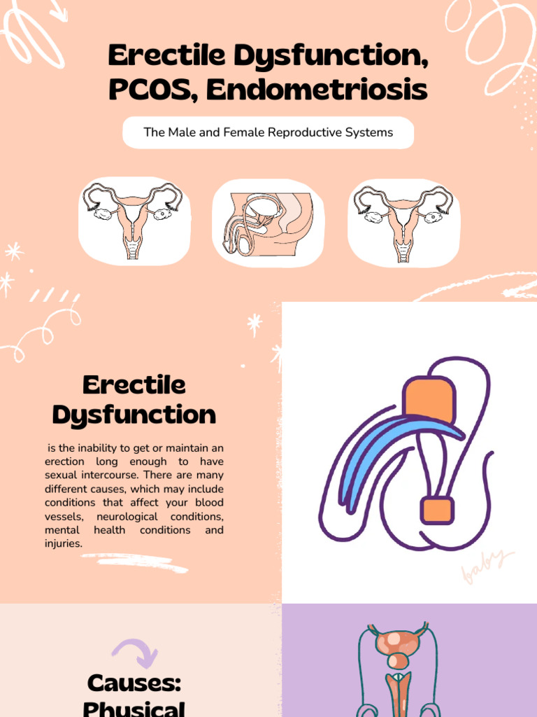 Understanding Human Reproduction Education Presentation in Peach Violet ...