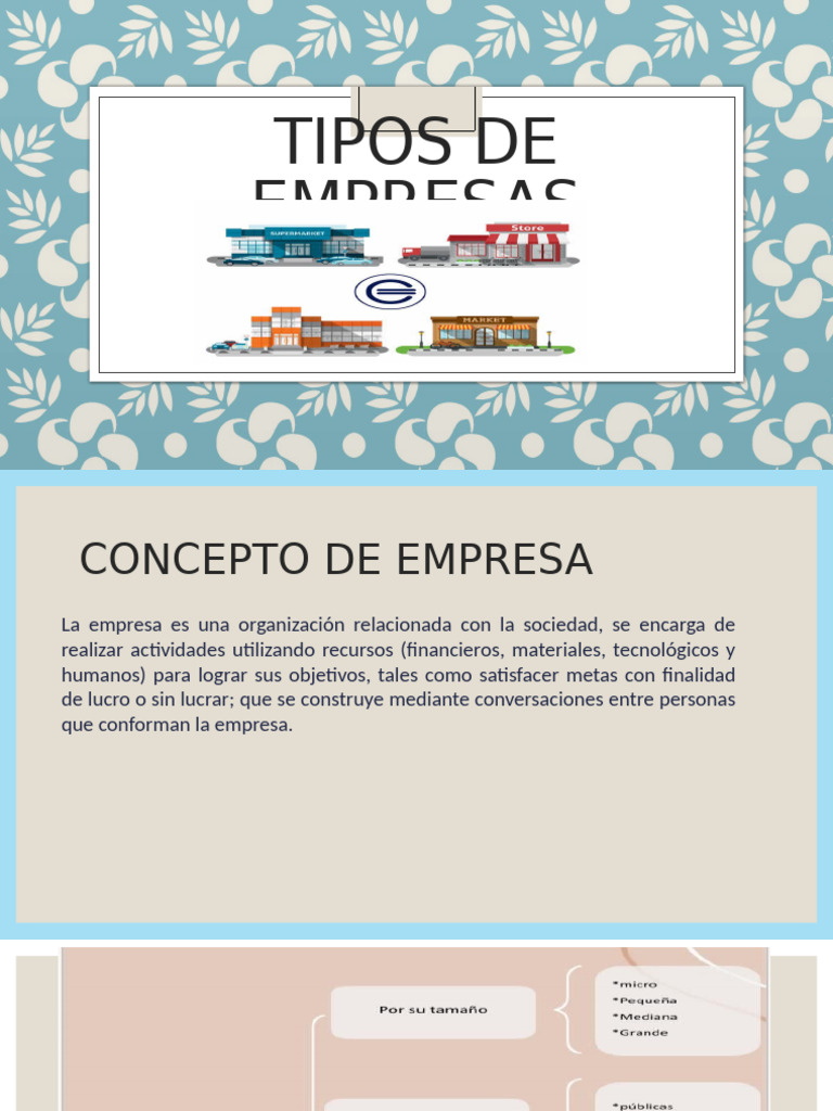Tipos de Empresas: Clasificación y Conceptos | PDF | Business | Economias