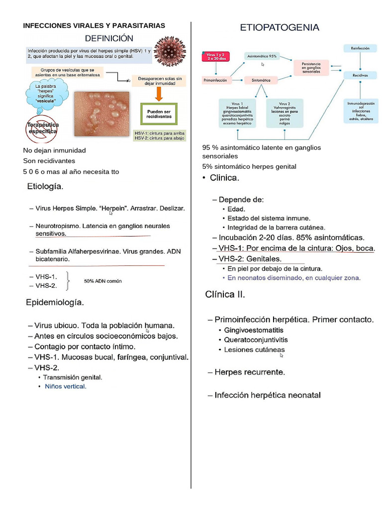 Infecciones Virales y Parasitarias | PDF | Enfermedades y trastornos ...