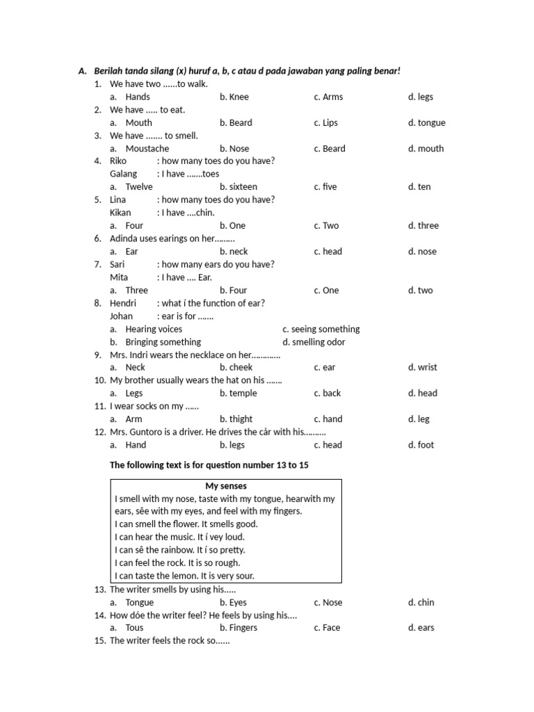 Soal Bahasa Inggris Kls 5 Semester 1 | PDF | Nervous System
