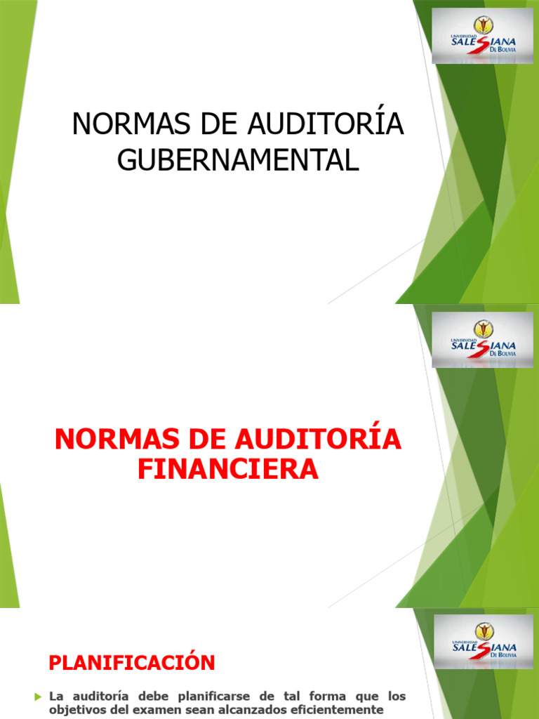 Normas de Auditoría Gubernamental y Financiera | PDF | Auditoría ...