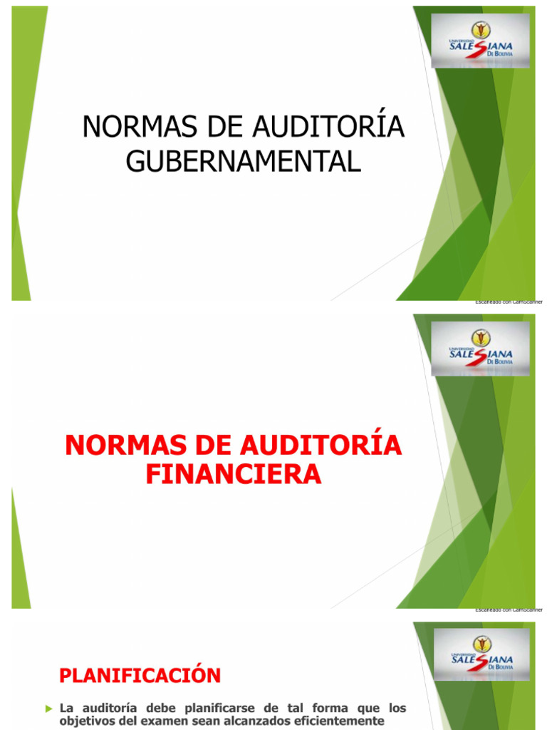 Diapositivas Normas de Auditoría Gubernamental | PDF