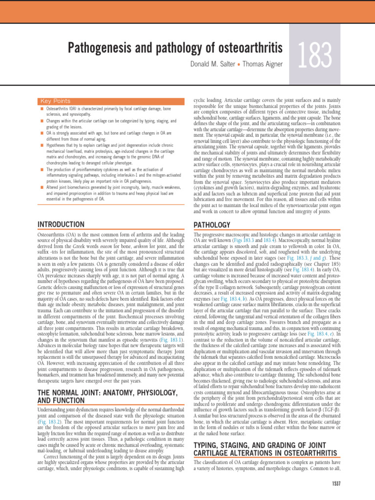 Pathogenesis and pathology of osteoarthritis pdf cartilage bone