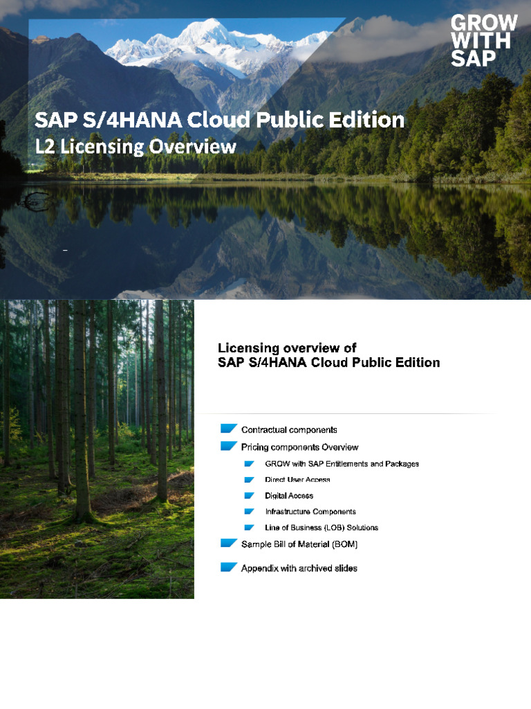 SAP S/4HANA Cloud Licensing Overview 2024 | PDF | Cloud Computing ...