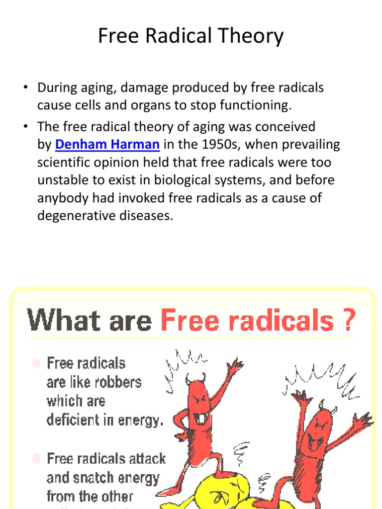 Free Radical Theory PDF Radical (Chemistry) Superoxide Dismutase