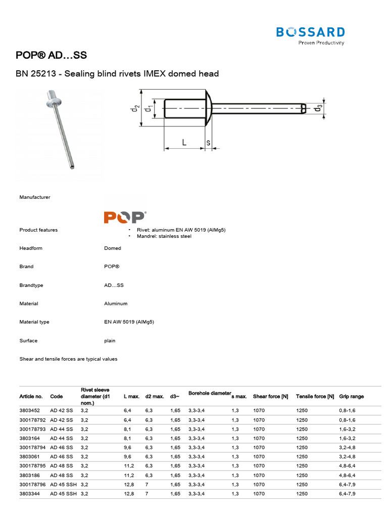 BN 25213 | PDF | Rivet | Metalworking