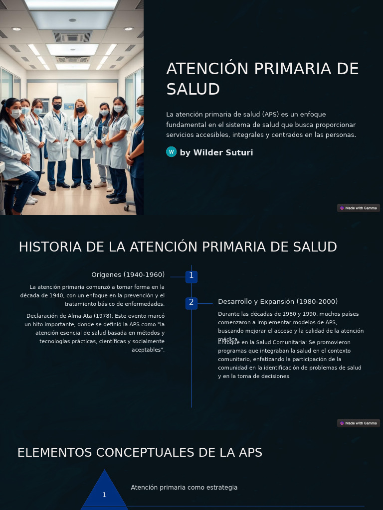 Atencion Primaria de Salud | PDF | Cuidado de la salud | Asistencia ...
