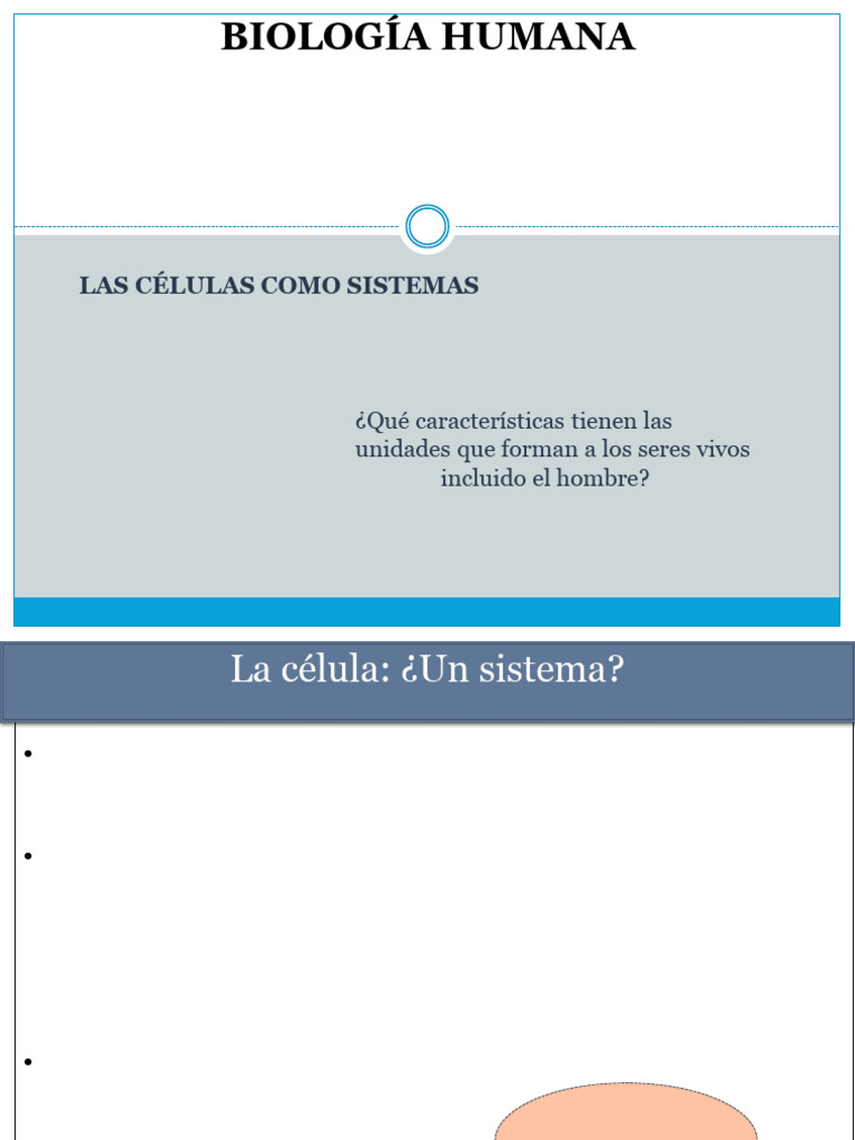 Estructura y Función de las Células | PDF | Nucleo celular | Citoplasma