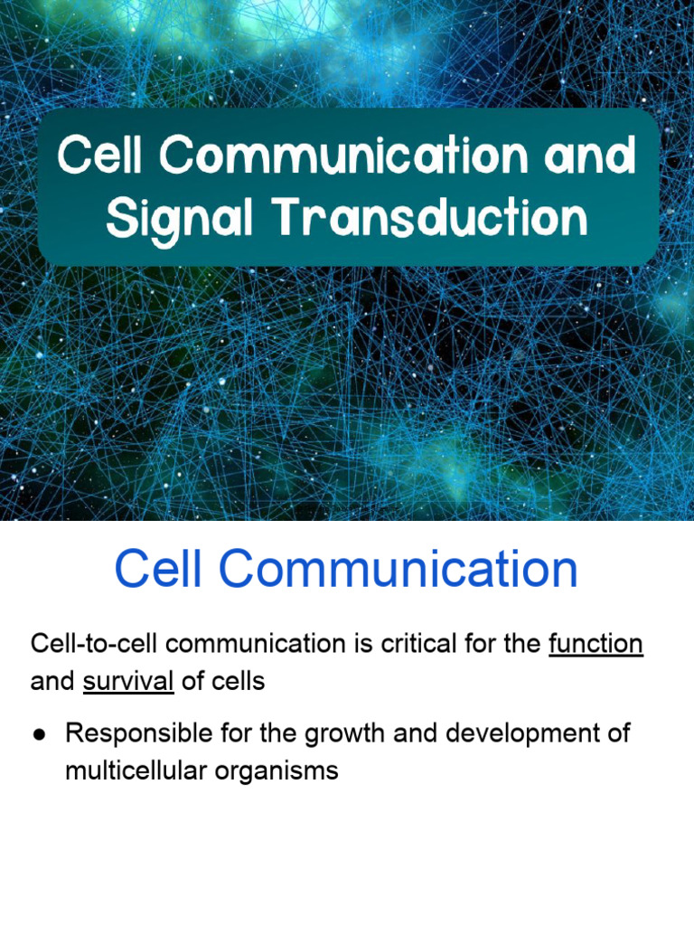 Topic 1 2 3 4 Notes | PDF | Cell Signaling | Signal Transduction