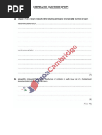 Core Strength Workout Routine | PDF